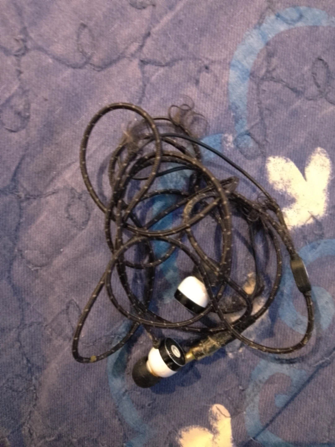 Wired Earphones 🥕