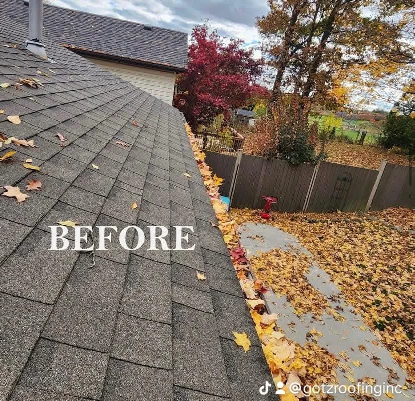 Gutter Cleaning Leaf Guards For Sale!