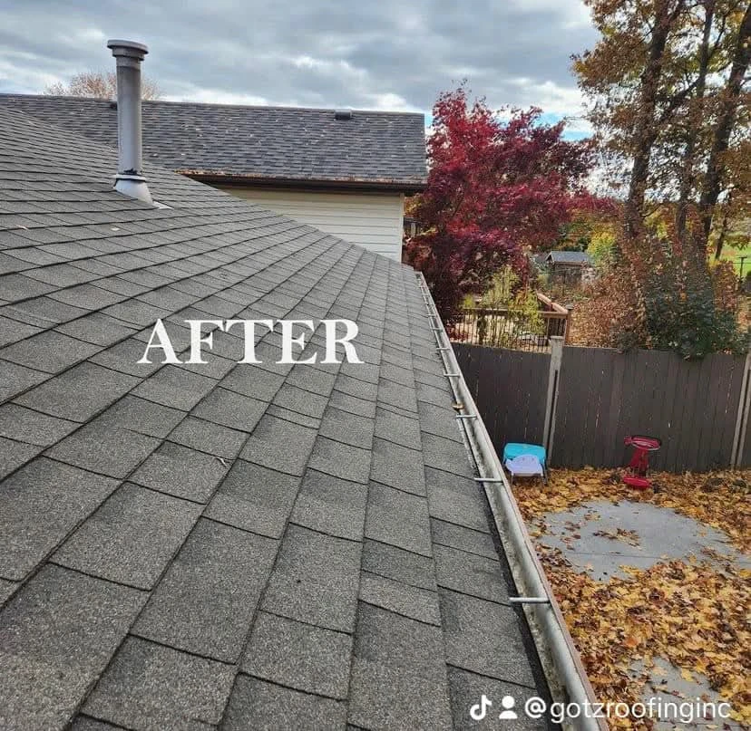 Gutter Cleaning Leaf Guards For Sale! - photo 2