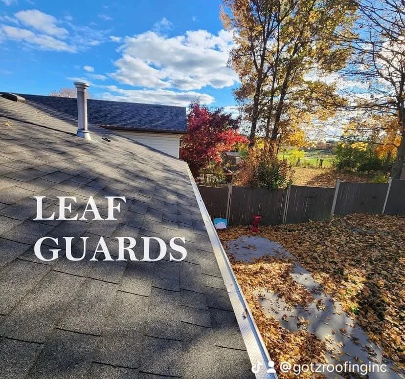 Gutter Cleaning Leaf Guards For Sale! - photo 3