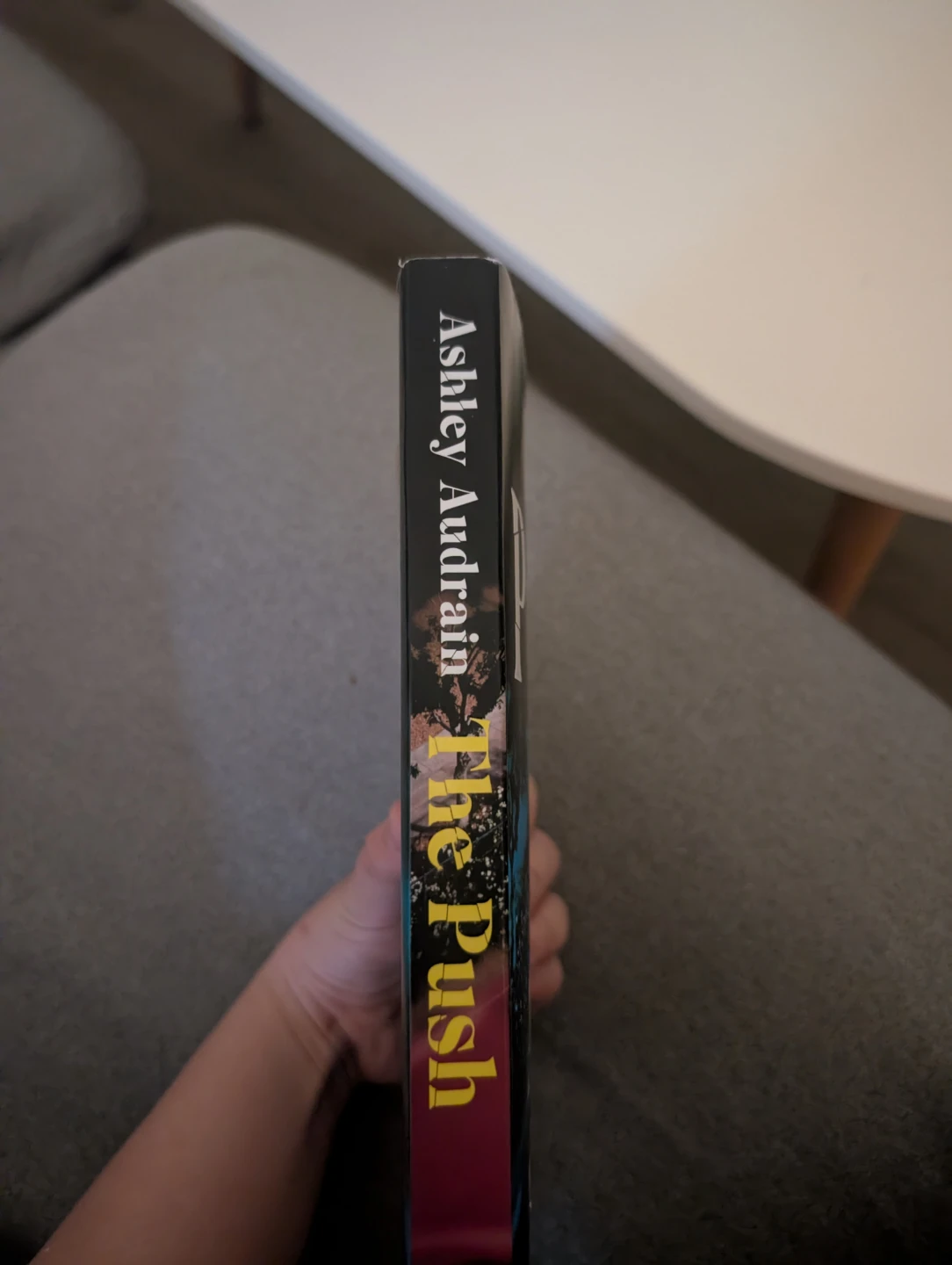 The Push by Ashley Audrain Novel - photo 3
