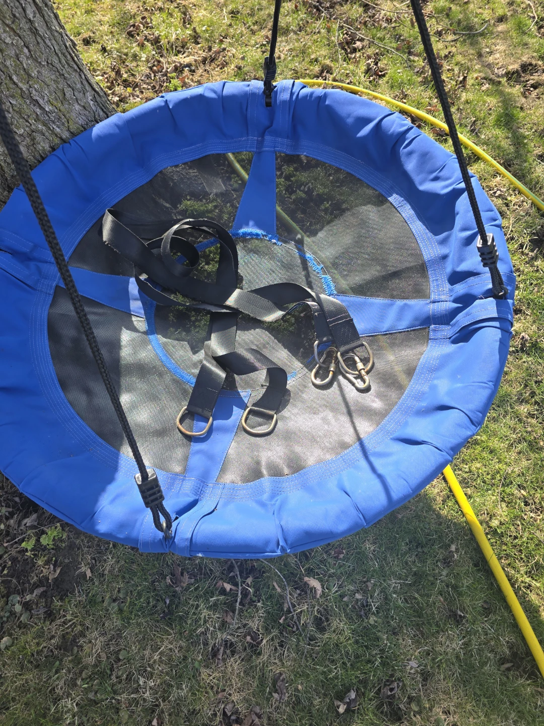 Blue Disc Swing