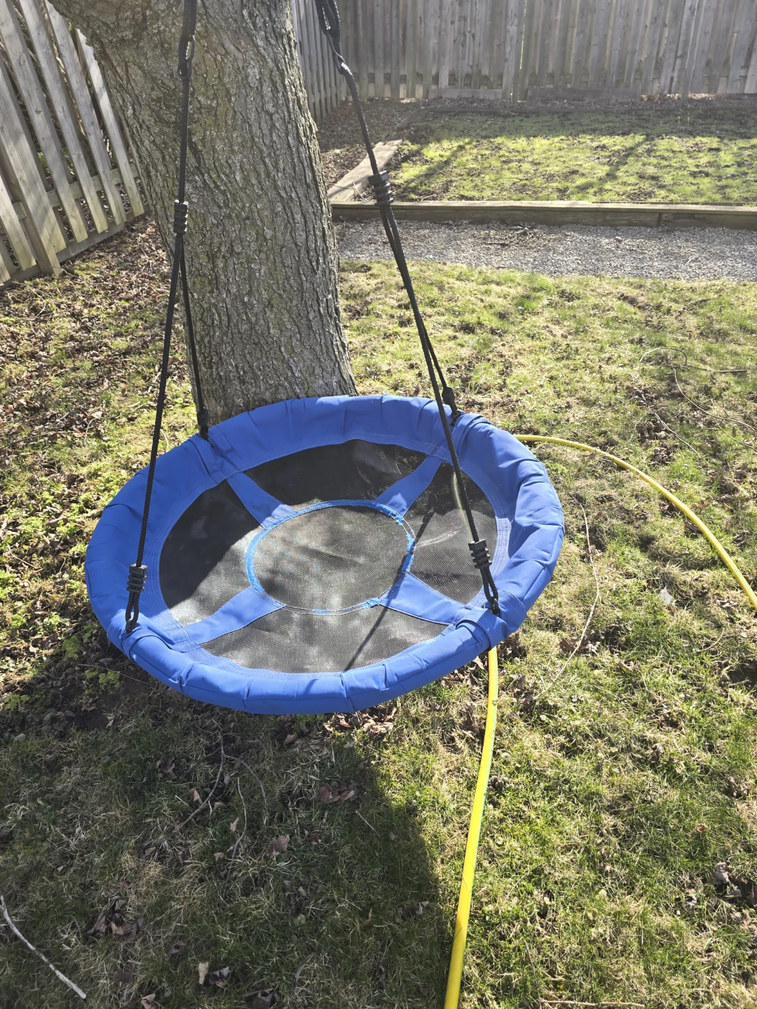 Blue Disc Swing - photo 3