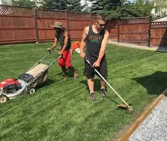 A Cut Above Lawn Care Spring/Summer Services 2025 - photo 2