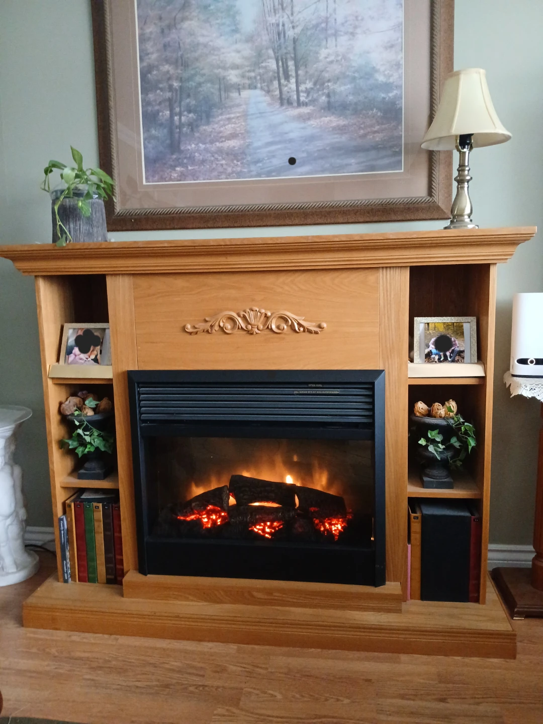 Electric Fireplace with Bookshelf Inserts