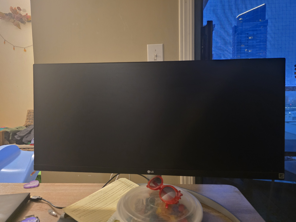 LG ultrawide 29'' Computer Monitor