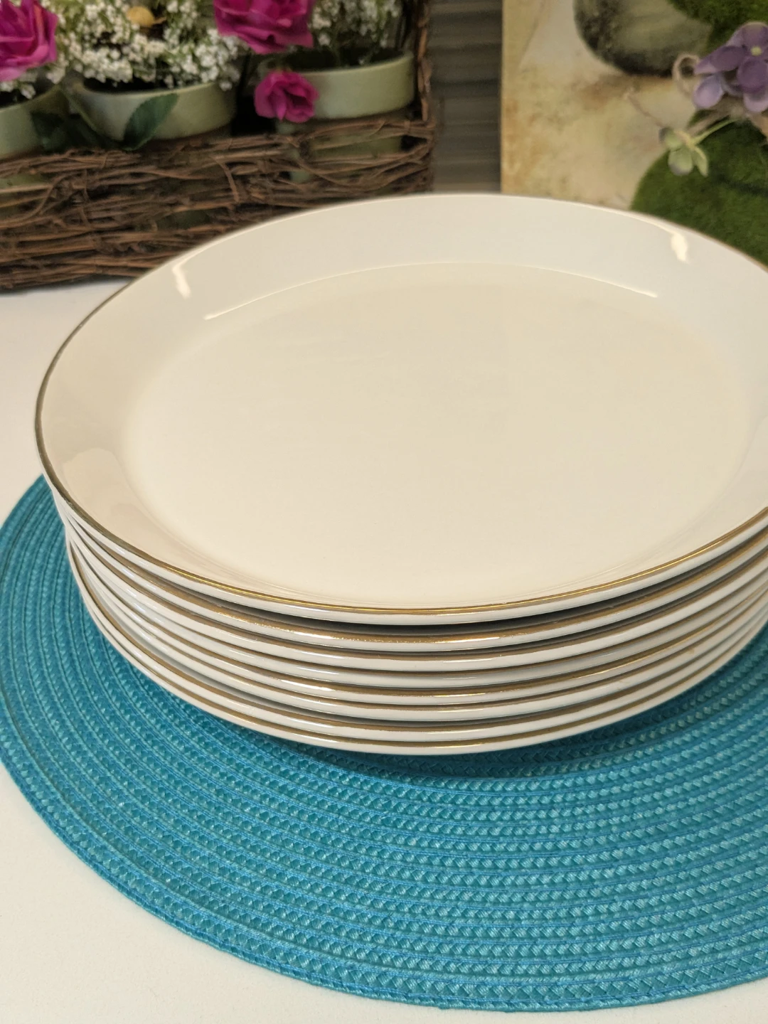 J&G Meakin Greemore Plates (Set of 6)