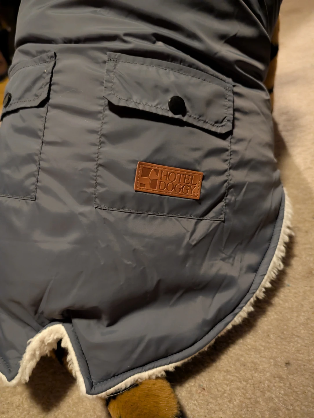 Hotel Doggy Dog Winter Coat - XL/TG - photo 2