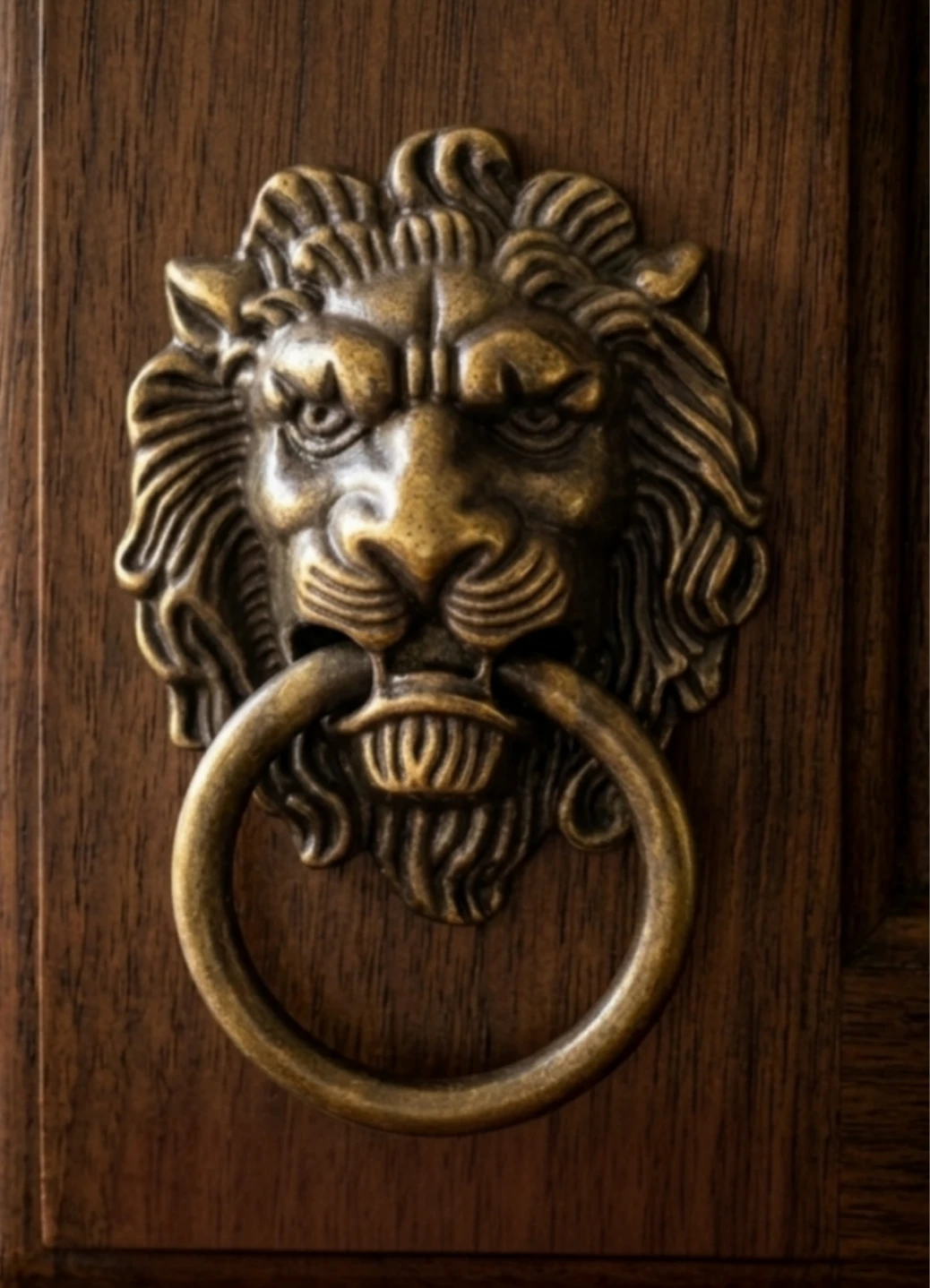 Elegant Lion Head Decor & Knobs (Set of 2)