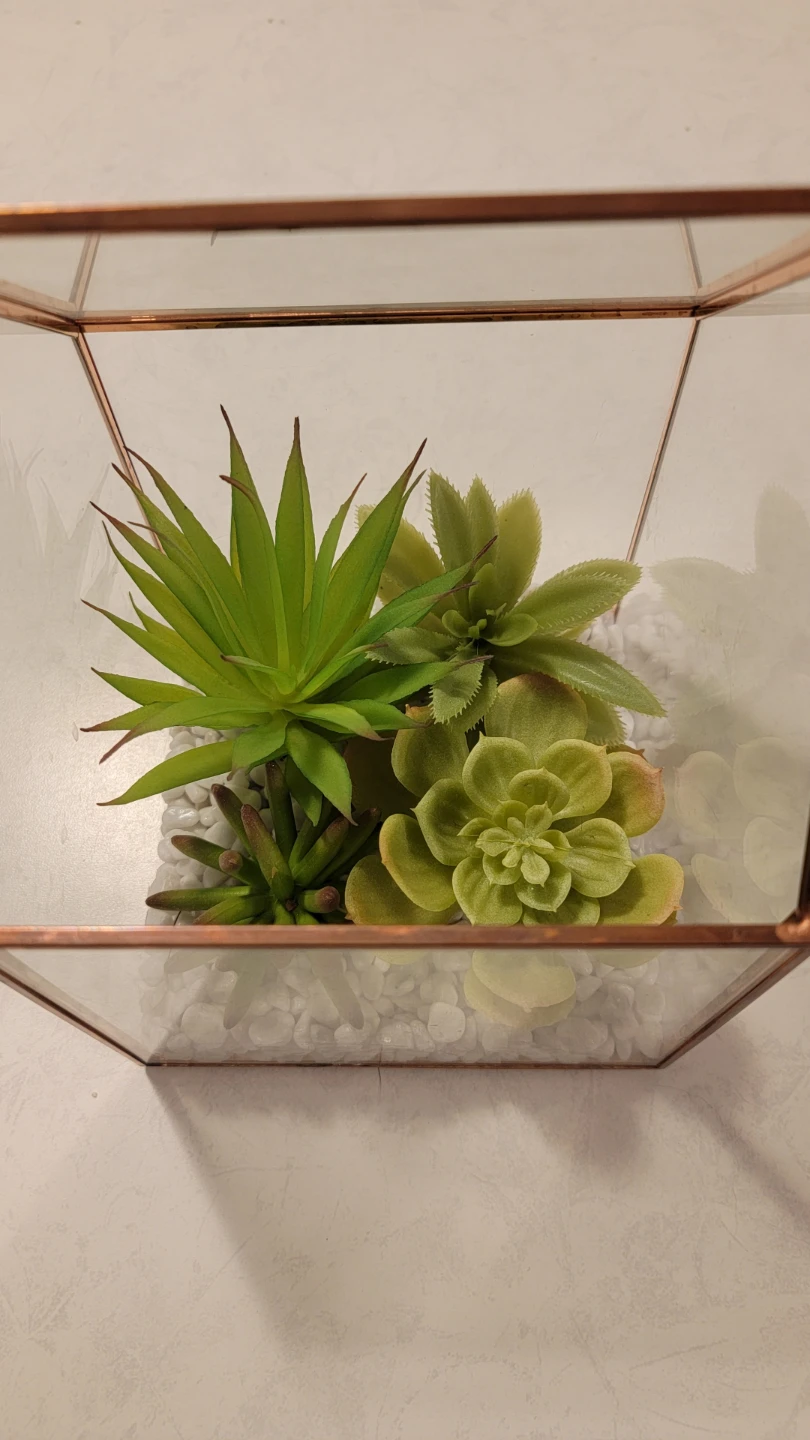 Geometric Terrarium with Artificial Succulents