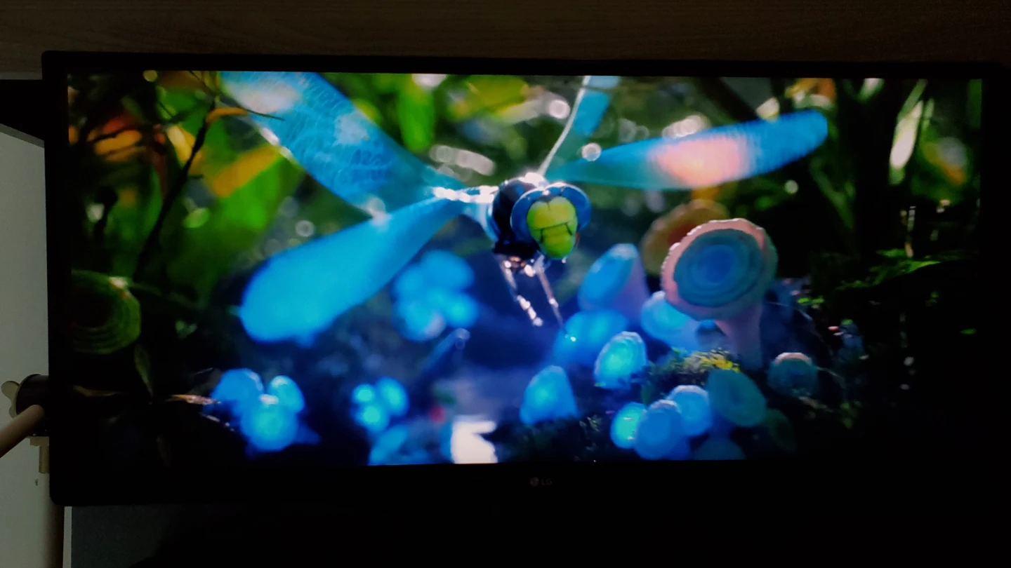 LG UltraWide Monitor 29" (21:9)