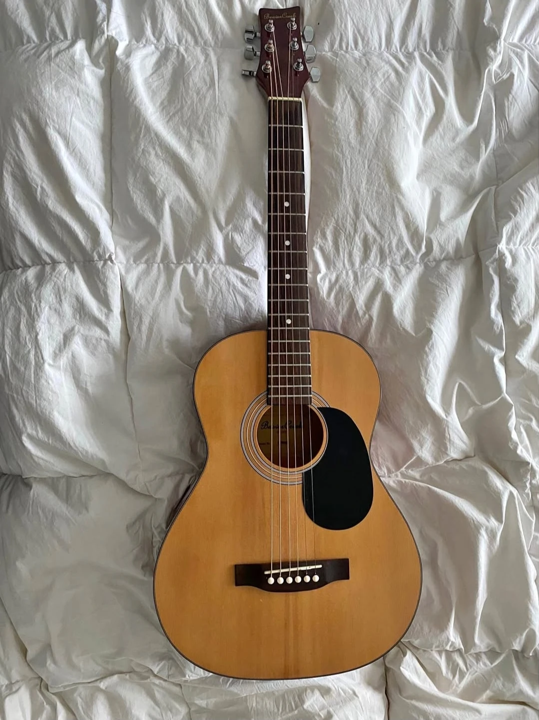 Beaver Creek Acoustic Guitar