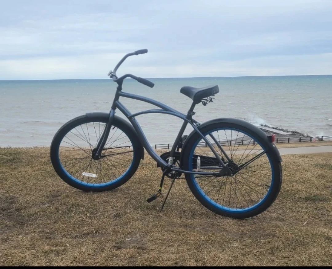 Cruiser Bike - photo 4