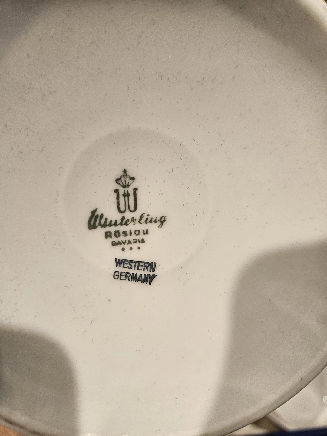Winterling Bavaria Porcelain Tea Set - photo 2