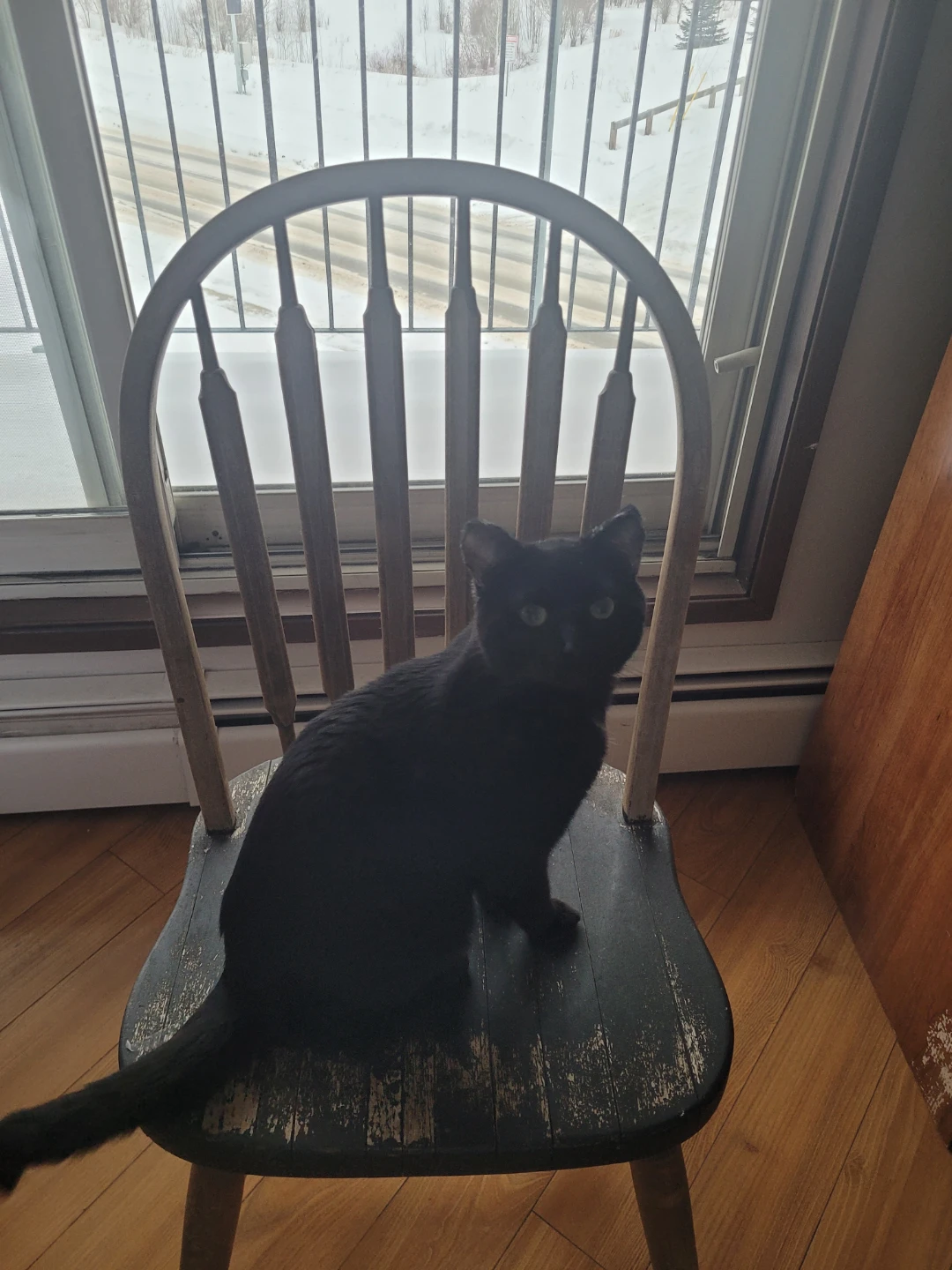 Wooden Windsor Style Dining Chair