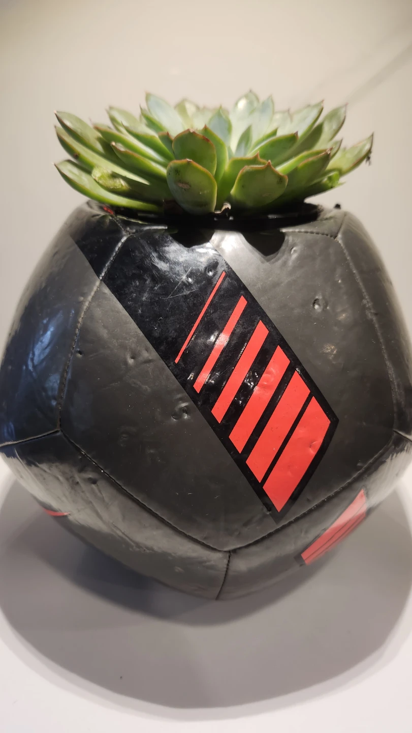 Upcycled soccer ball planter with succulent - photo 3