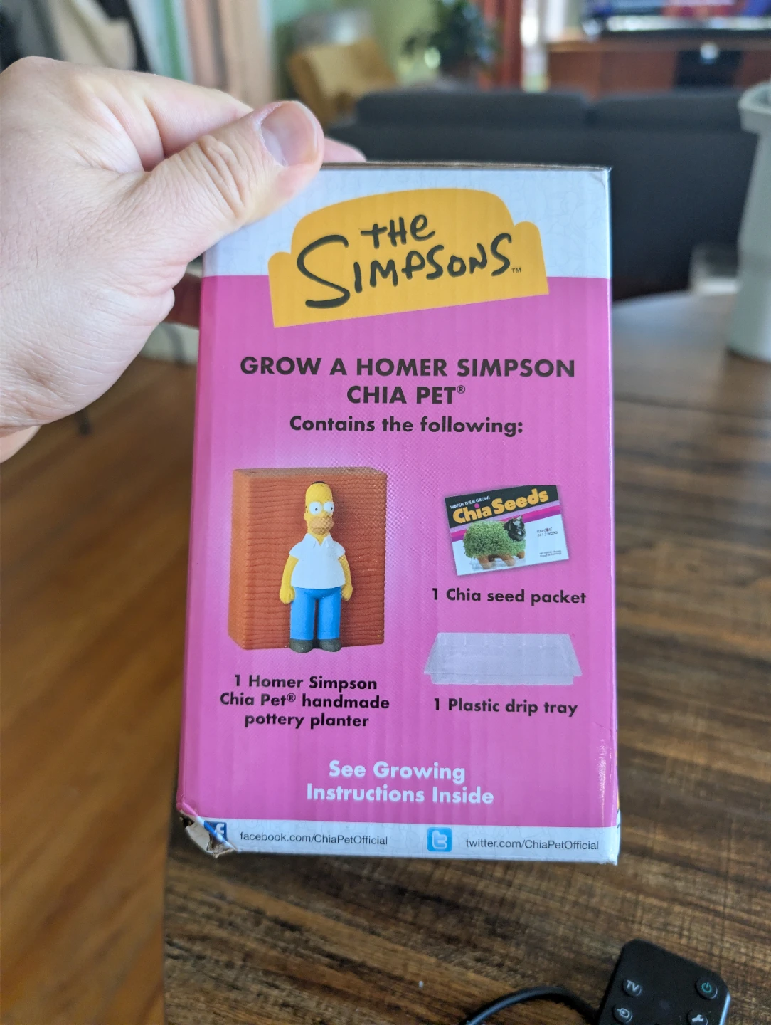 Chia Pet The Simpsons Homer Simpson Handmade Decorative Planter - photo 2
