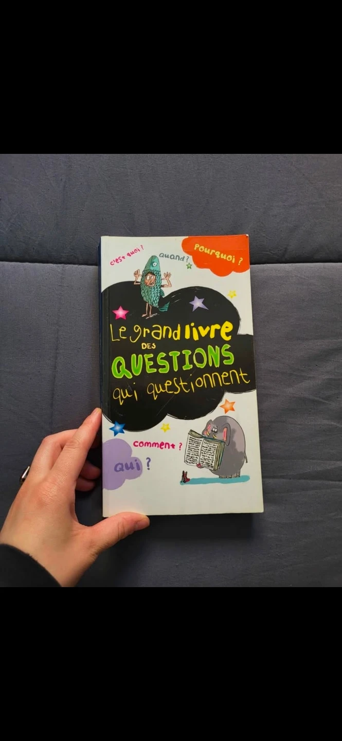 Le Grand Livre des Questions Qui Questionnent Children's Book