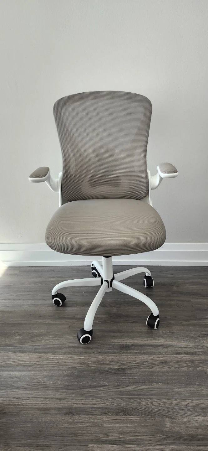 Ergonomic Mesh Office Chair