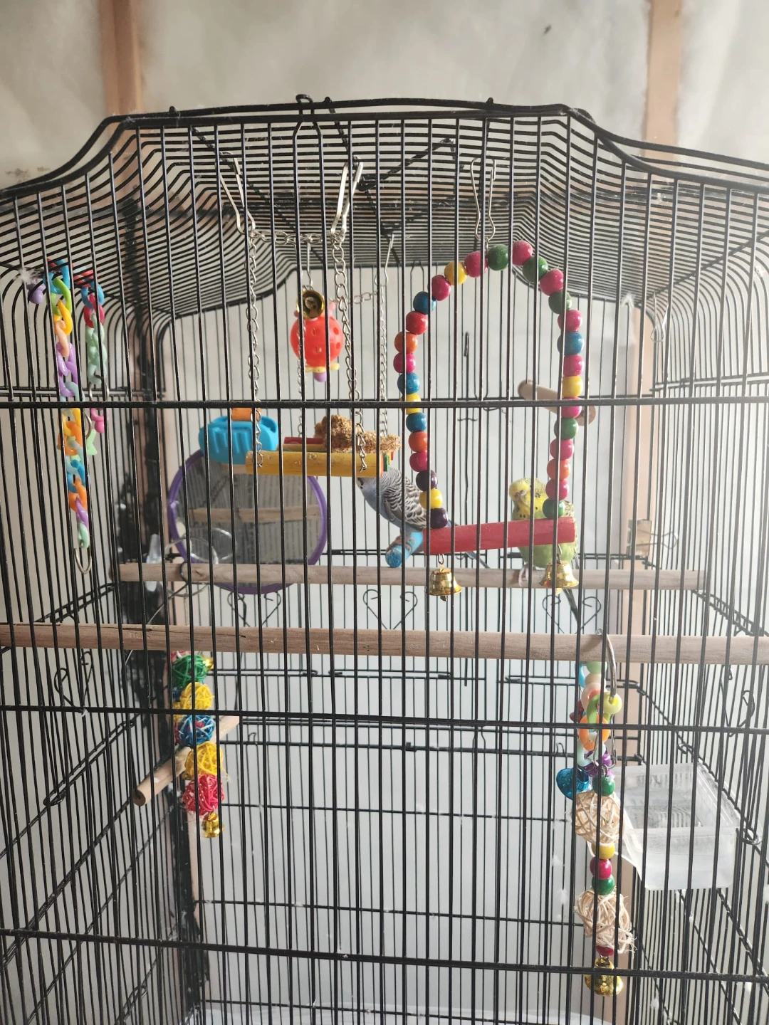 Large Bird Cage with Stand and Accessories for bird lovers - photo 3