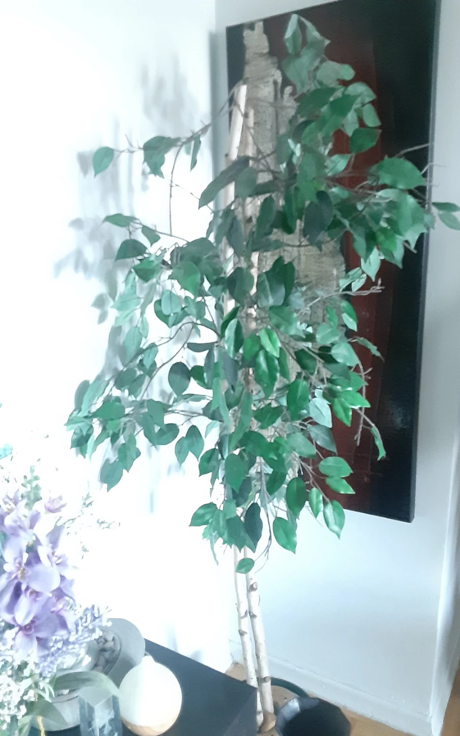 Artificial Ficus Tree - photo 4