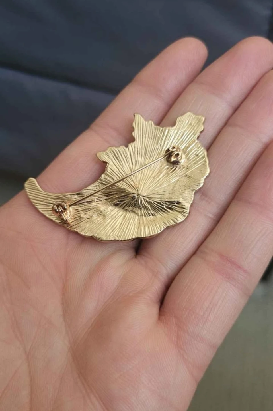 Cornucopia Brooch - photo 2