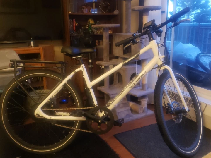 Rad Power Bikes Electric Bike