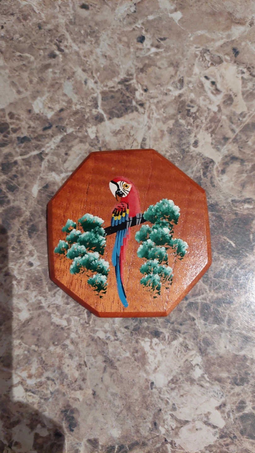 Hand-Painted Wooden Coaster Set with Holder - photo 5