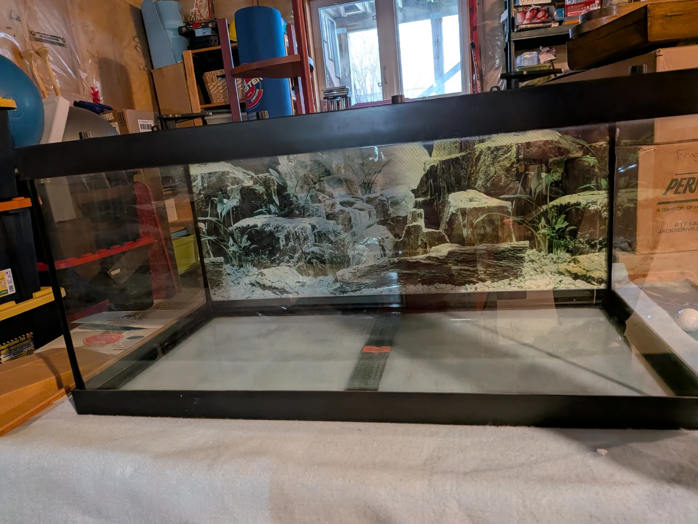 Terrarium with Lamps and Bearded Dragon Book - photo 2