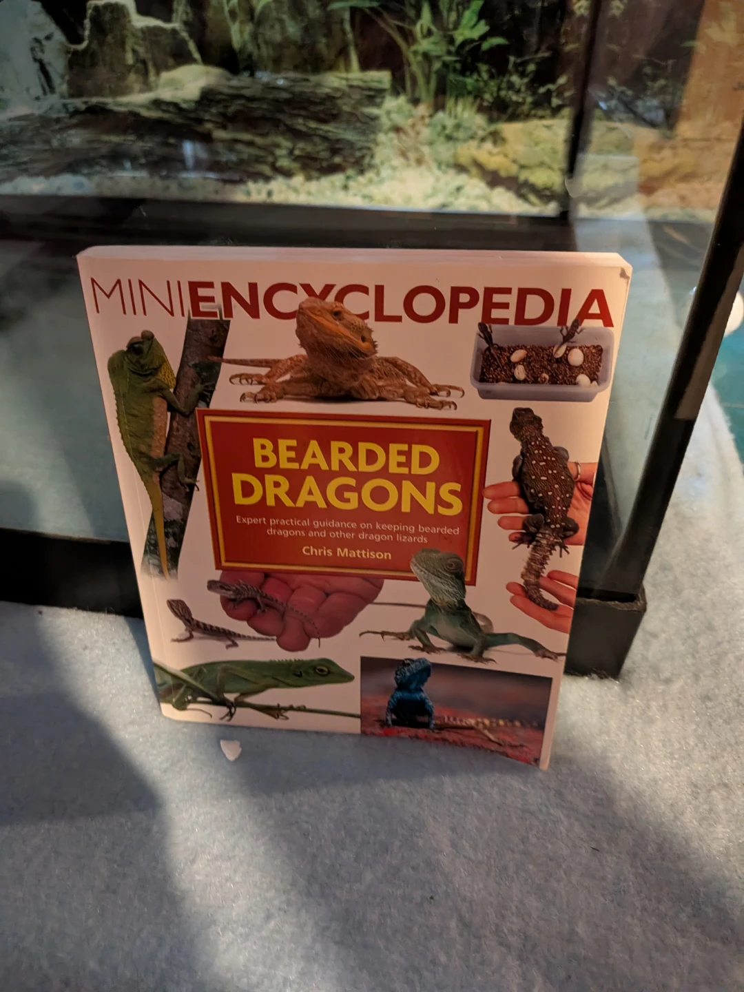 Terrarium with Lamps and Bearded Dragon Book - photo 5