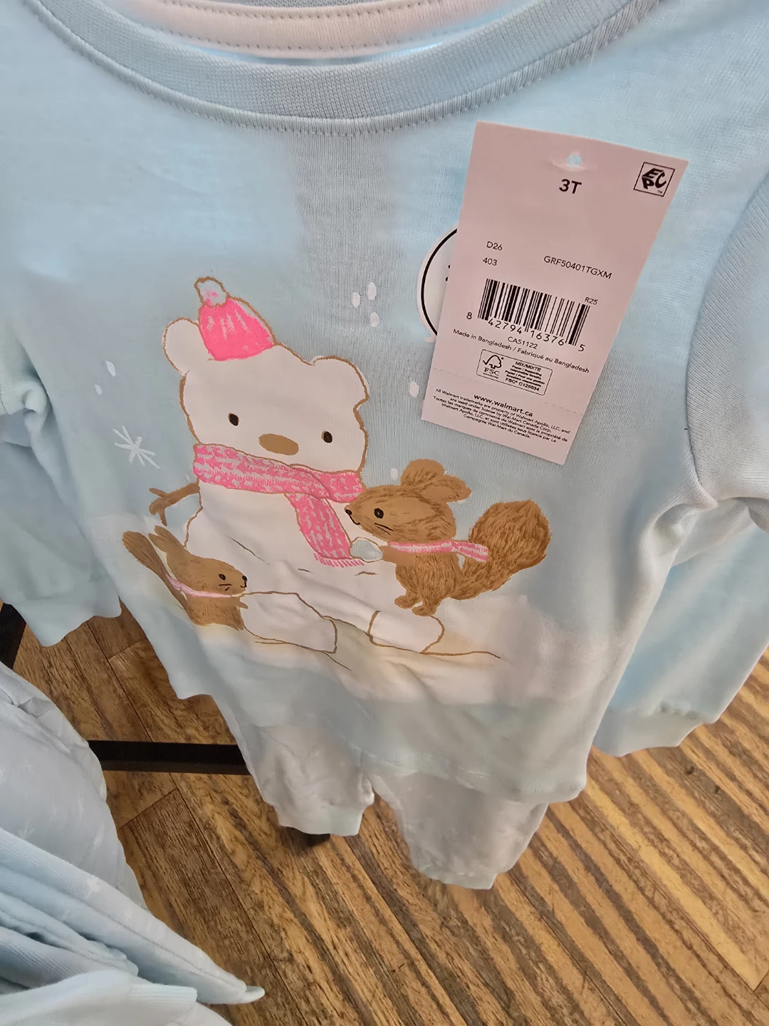 Kids' Light Blue T-Shirt with Winter Animal Graphic - Size 3T