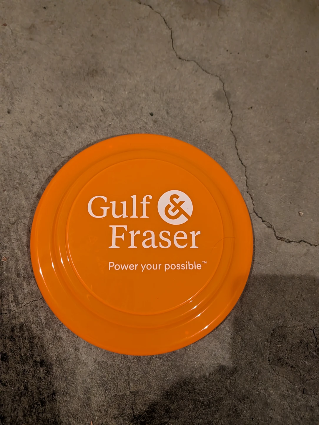 Gulf & Fraser Orange Flying Disc - photo 2