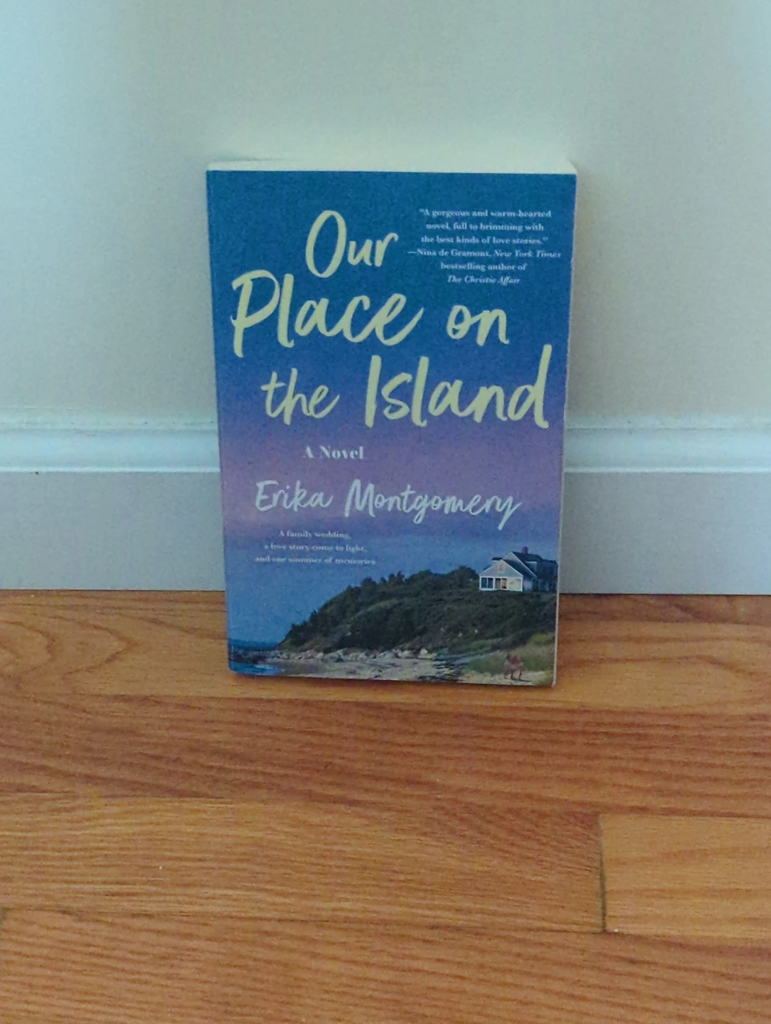 Our Place on the Island Novel by Erika Montgomery (paperback)