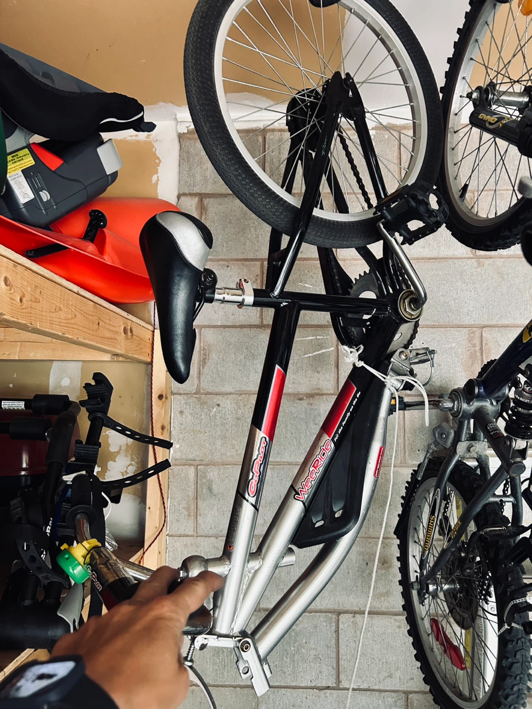 Bicycle trailer wee ride
