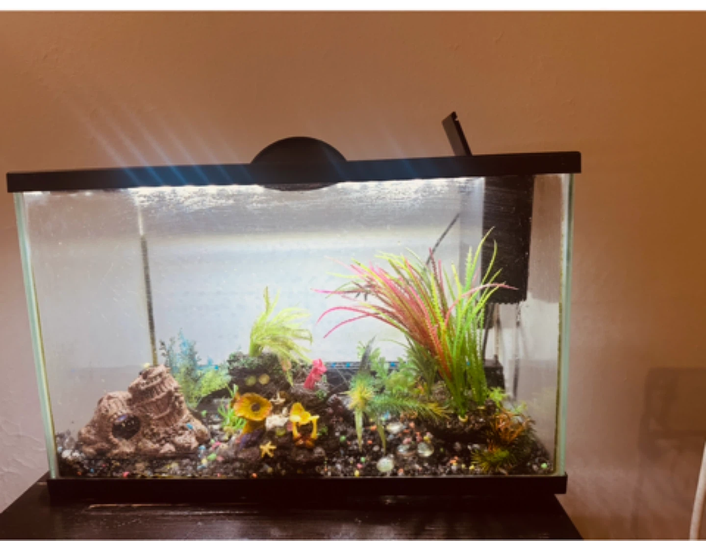 Aquarium with Accessories - photo 2