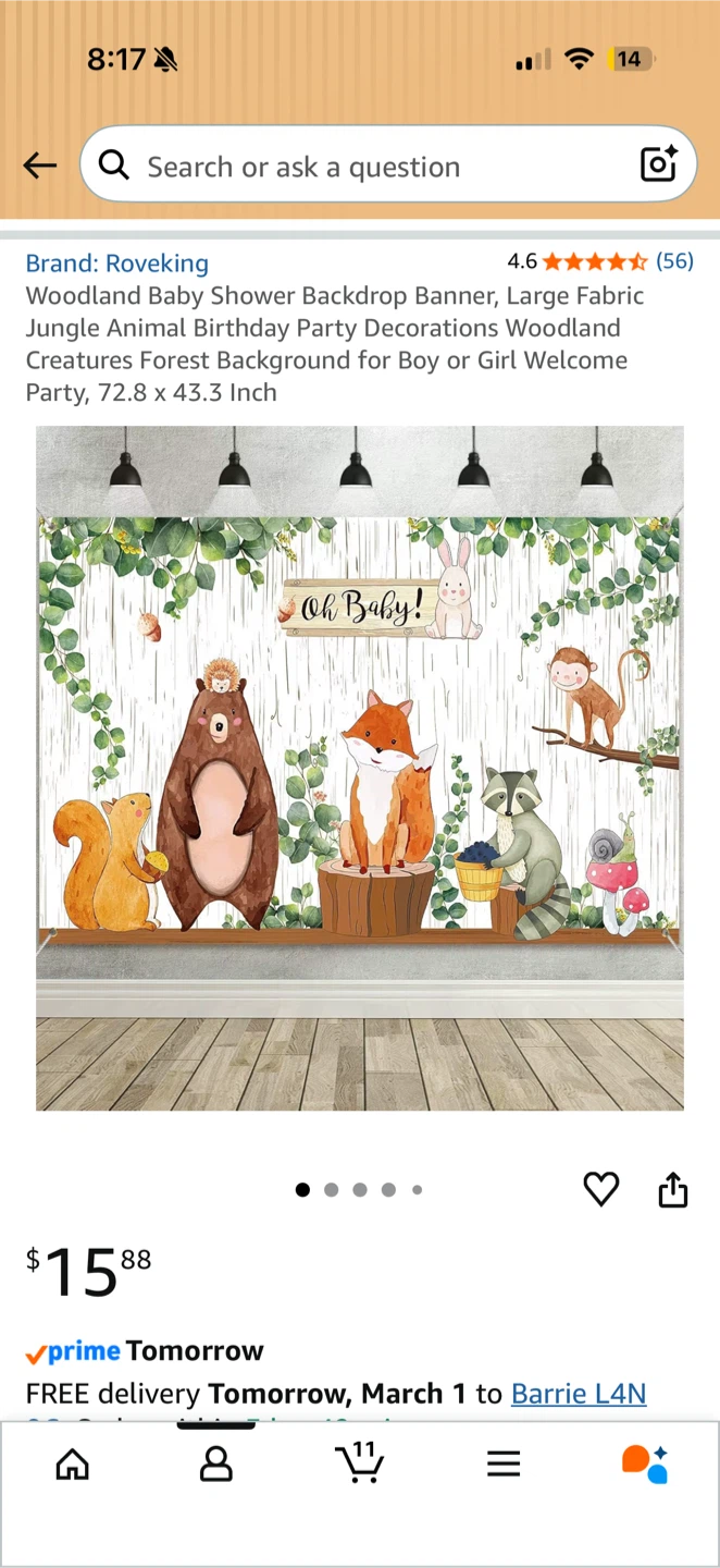 🧡Baby shower background/thank you’s/games
