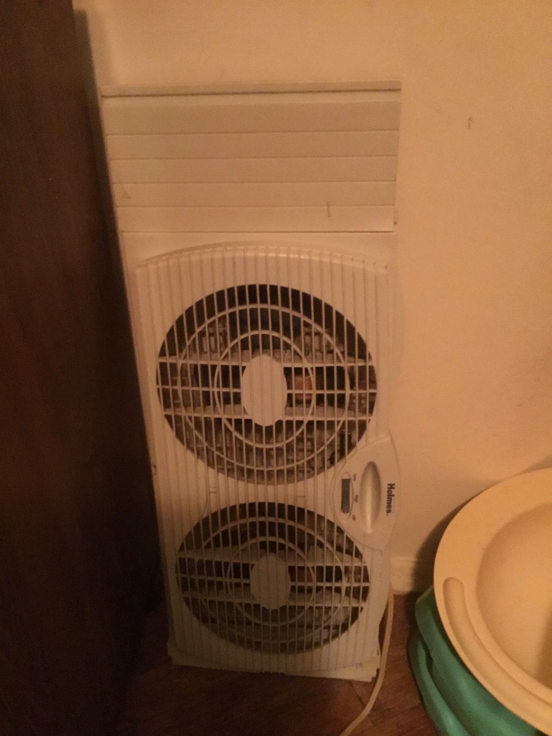 2 Fans - photo 2