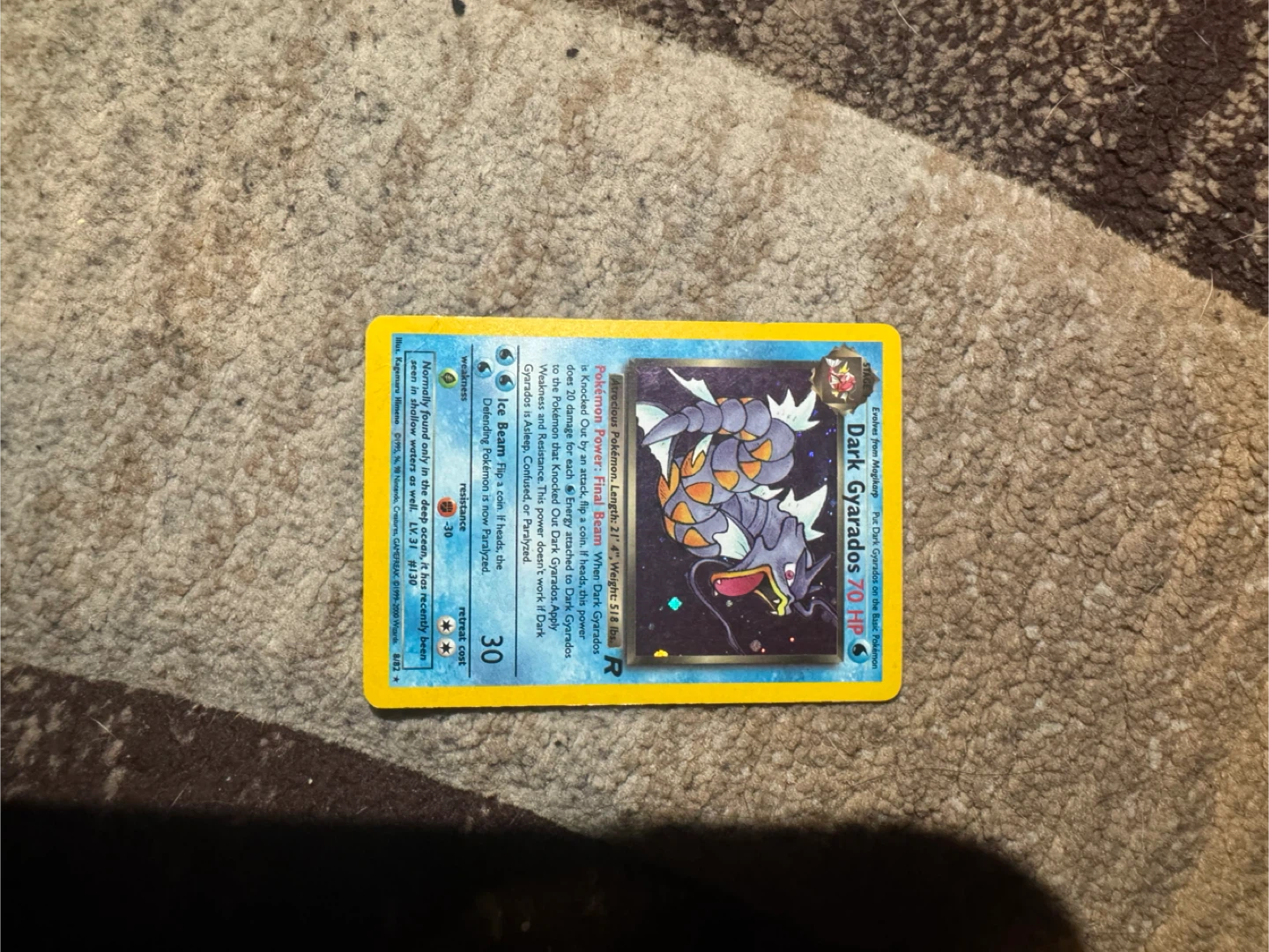 Pokemon Dark Gyarados Trading Card