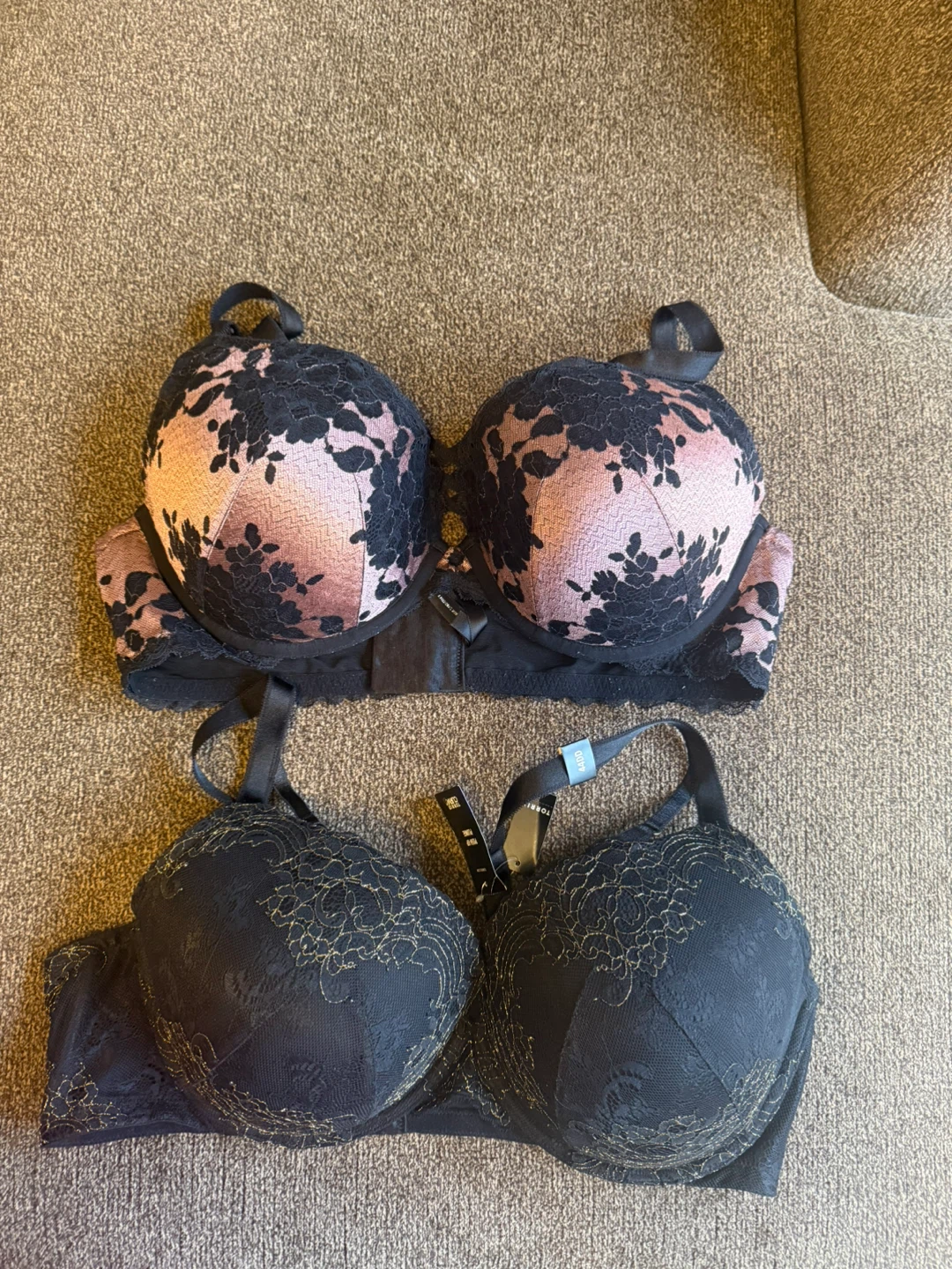 Torrid Bras