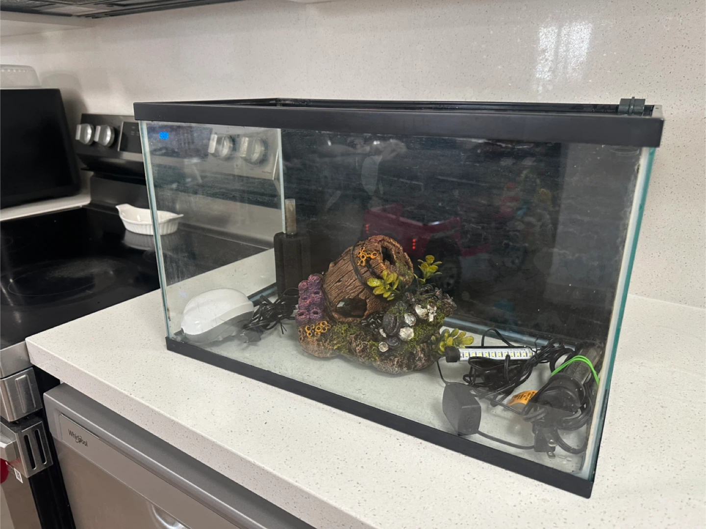 Aquarium Starter Kit with Filter, Light, and Decorations