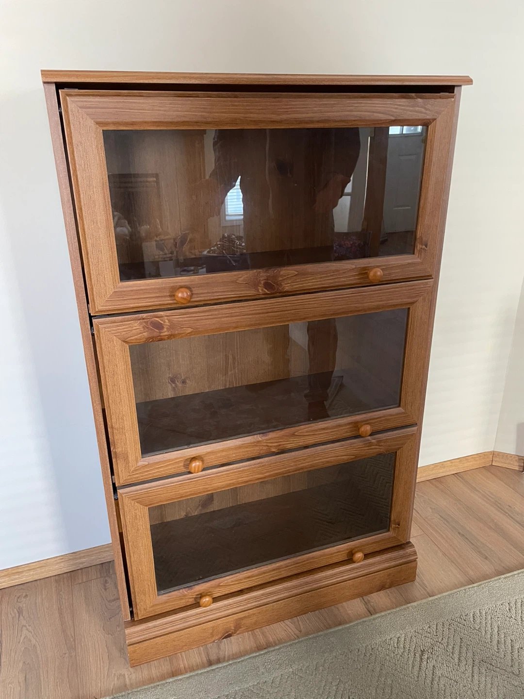 Wooden Display Cabinet with Glass Doors