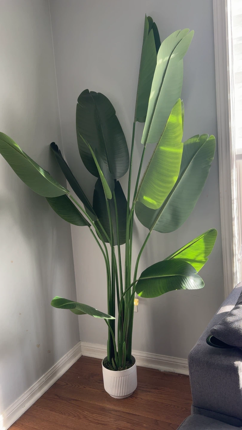 Large Faux Bird of Paradise Plant in White Pot