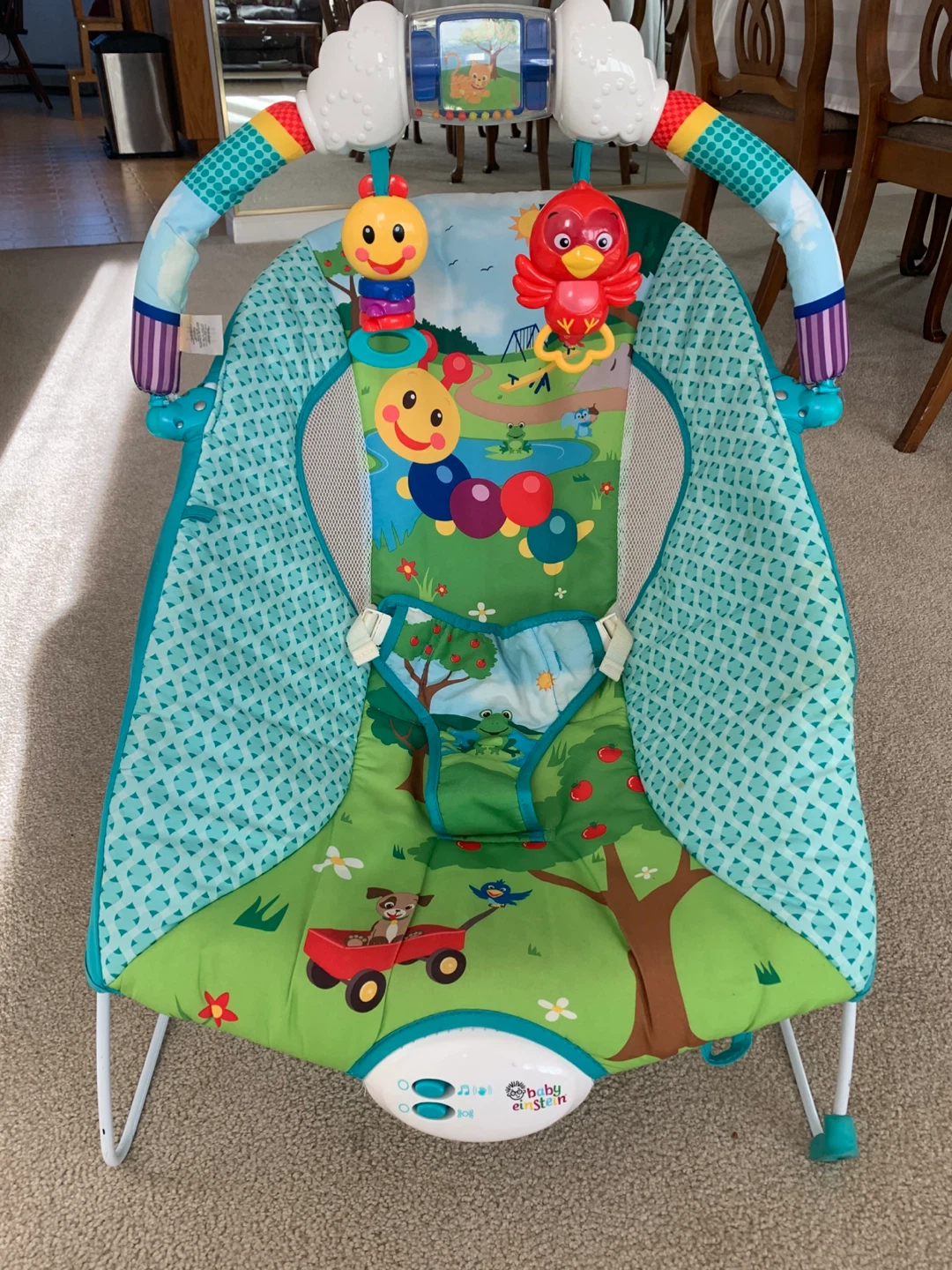 Baby Einstein Rocker/Bouncer Seat