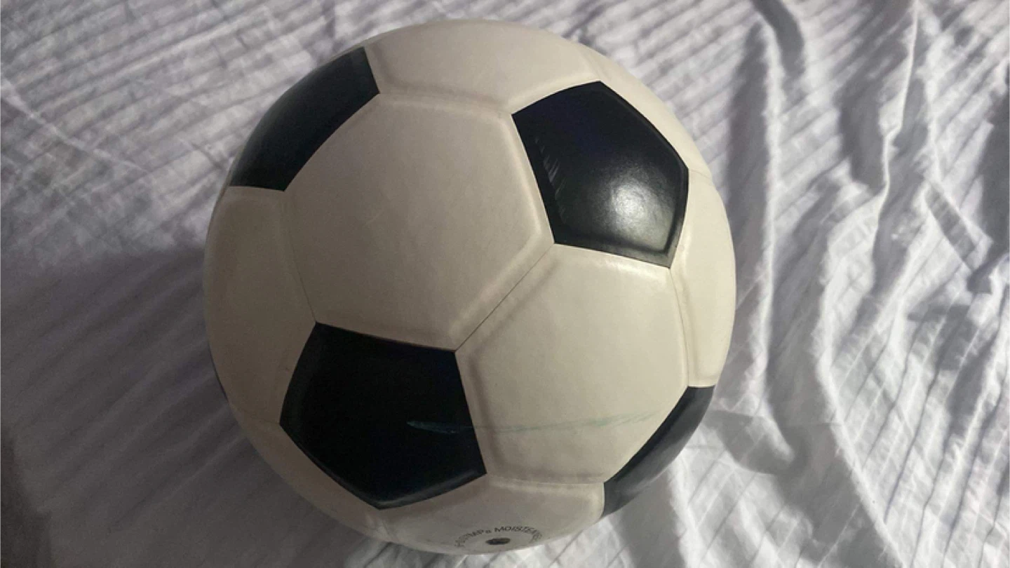 DEER Soccer Ball - Supreme Quality - photo 2