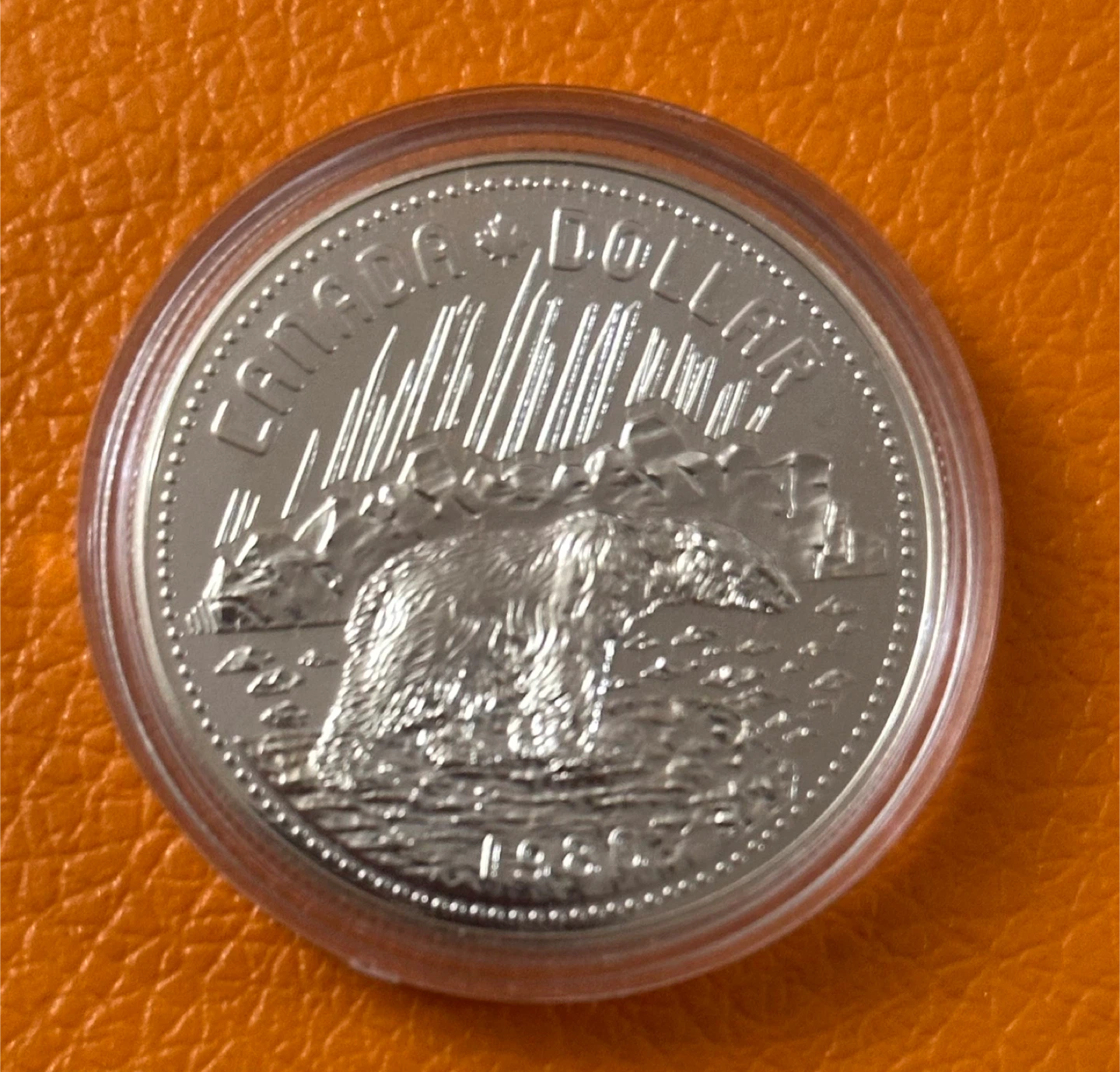 1980 Rare Canada Dollar Coin - Polar Bear