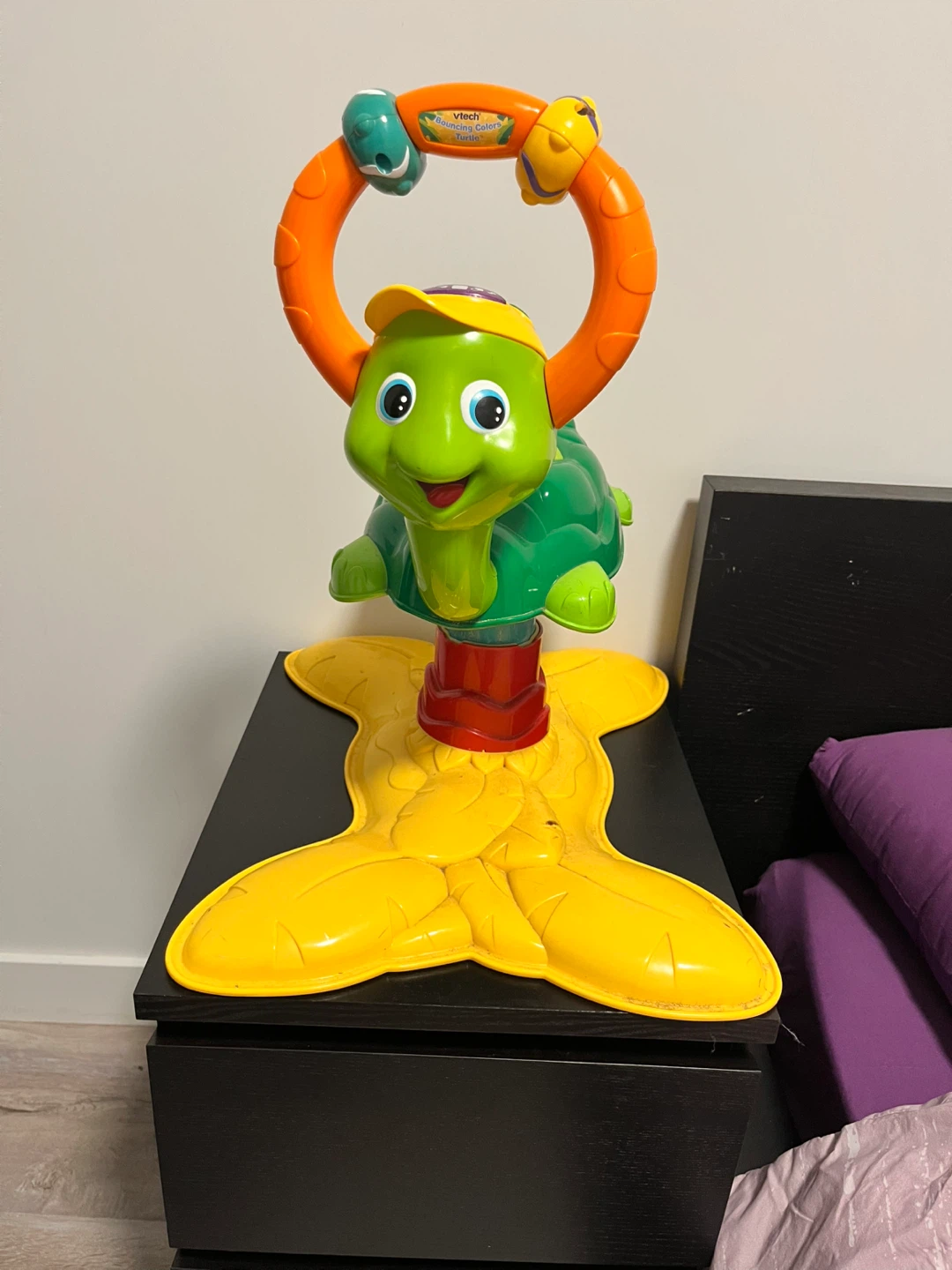 VTech Musical Turtle Bounce and Discovery