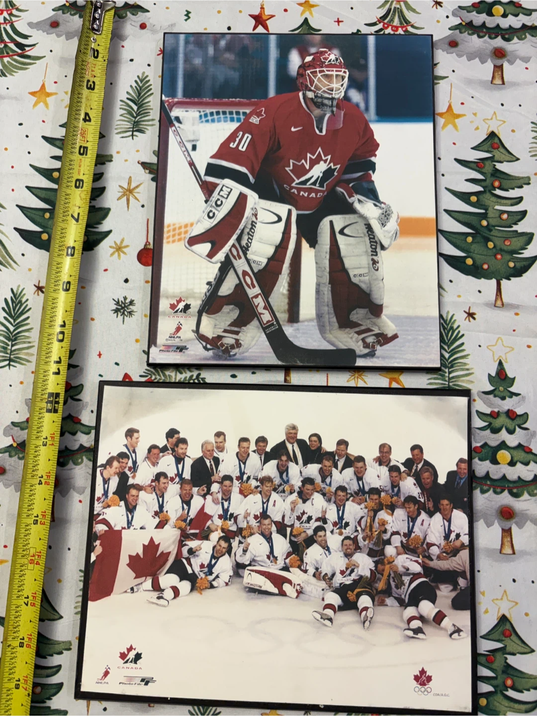 Canada 2002 Olympic hockey wall mountable prints on wood backing