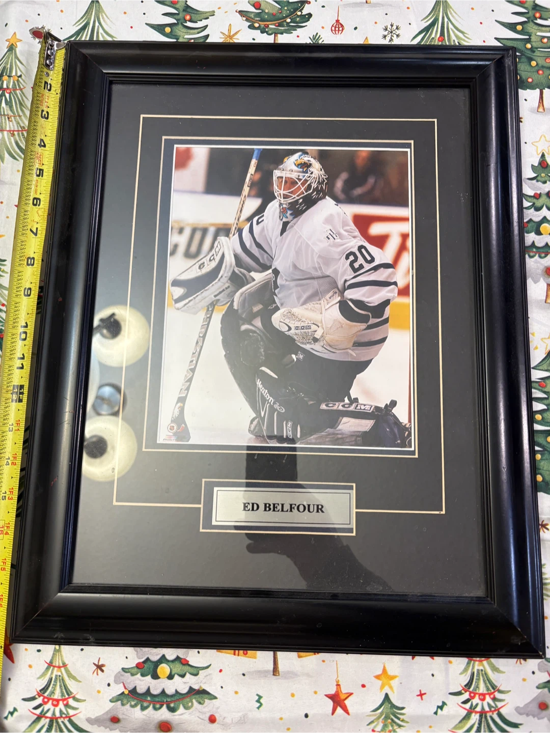 Toronto Maple Leafs Ed Belfour