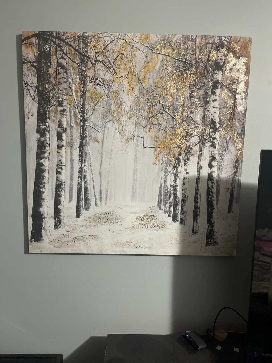 Canvas Wall Art - Birch Trees in Snow