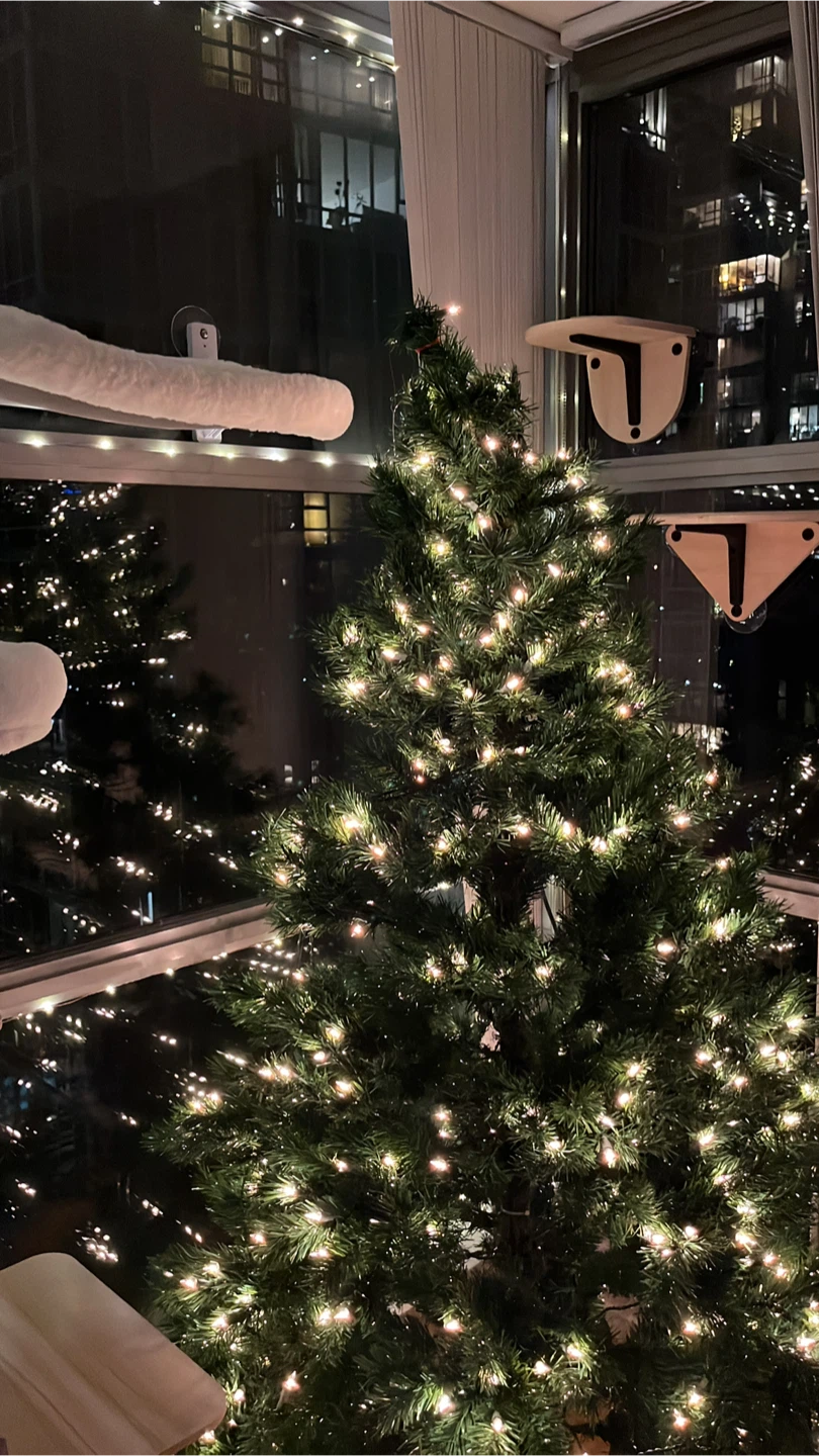 Christmas Tree with Storage Bag 🧡